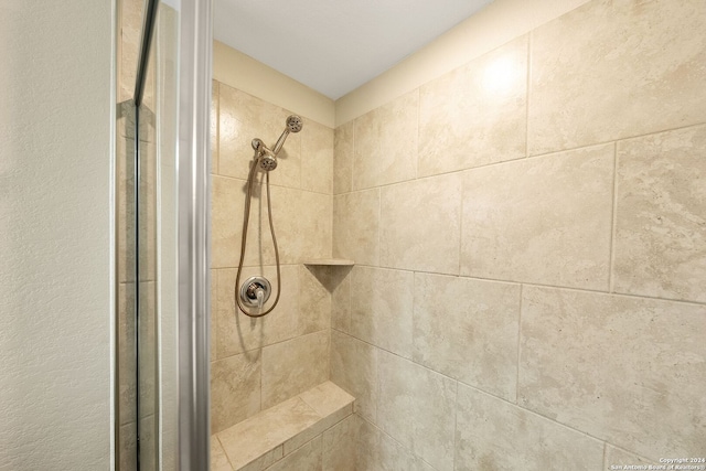 interior details featuring tiled shower