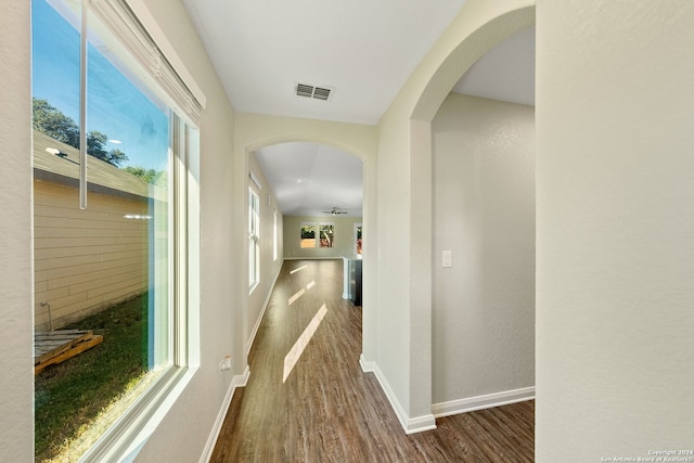 hallway with a healthy amount of sunlight and dark hardwood / wood-style flooring