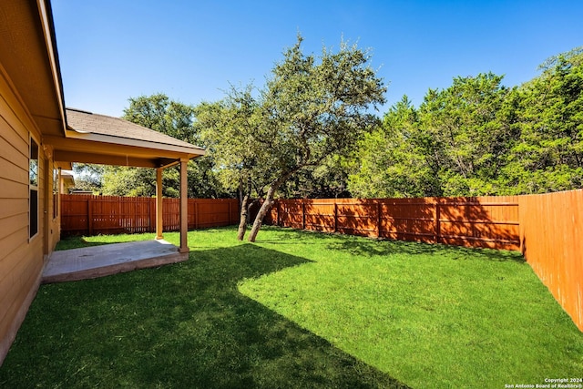 view of yard featuring a patio area