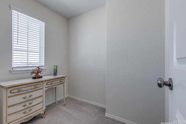 interior space featuring light carpet