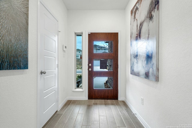 entrance foyer with hardwood / wood-style flooring