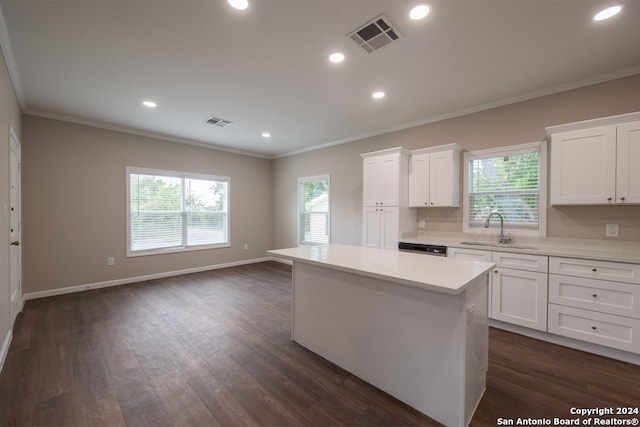 kitchen with a wealth of natural light, sink, and white cabinetry