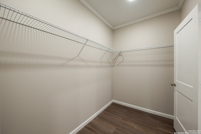 spacious closet featuring dark hardwood / wood-style flooring