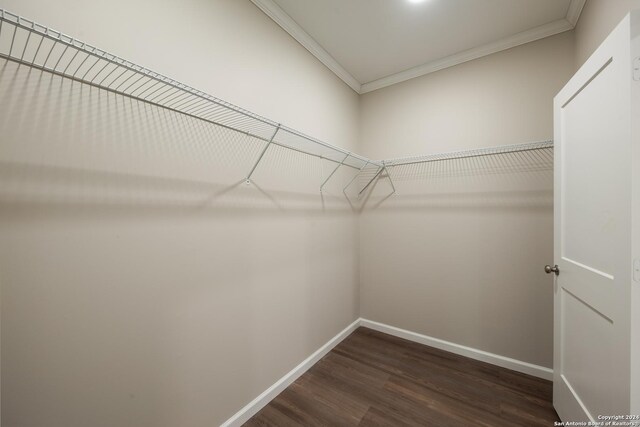 219 Gray St, San Antonio, TX 78208 - spacious closet featuring dark wood finished floors