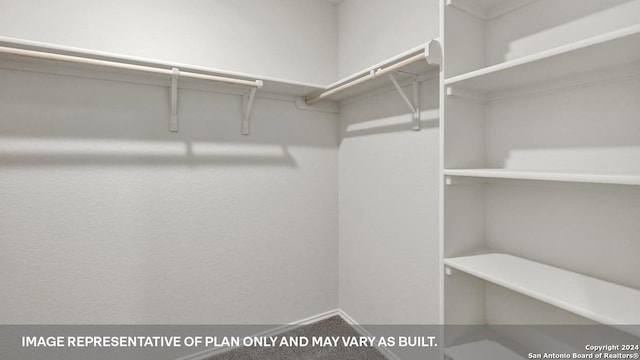 walk in closet featuring carpet