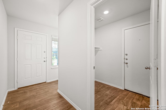 entrance foyer featuring wood-type flooring