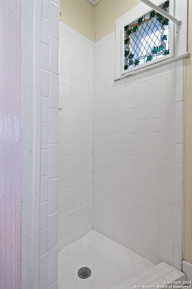 bathroom featuring a shower with shower curtain