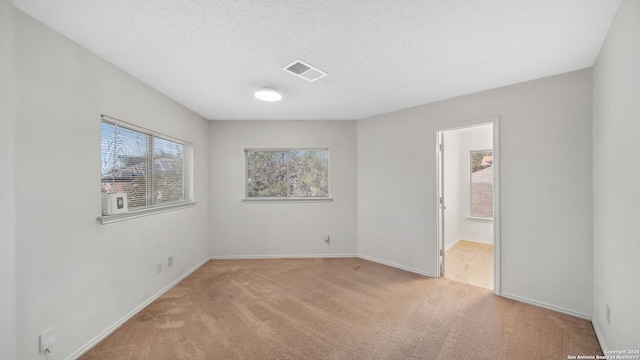 spare room featuring a textured ceiling and light colored carpet