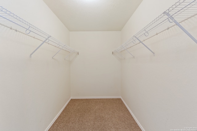 spacious closet with carpet