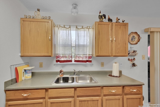 kitchen with sink and light brown cabinetry