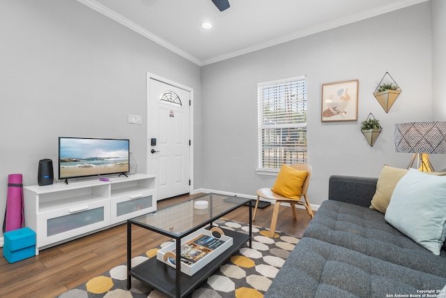 living room featuring ceiling fan, ornamental molding, and hardwood / wood-style floors