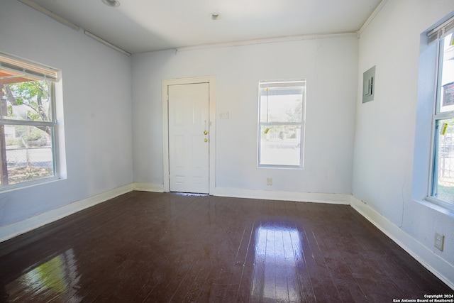 spare room featuring dark hardwood / wood-style floors and crown molding