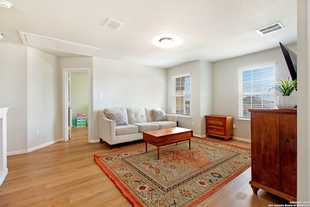 living room featuring light hardwood / wood-style floors