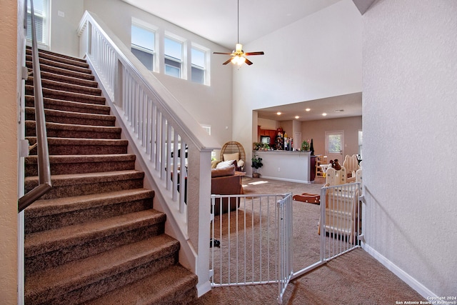 stairs featuring carpet flooring, ceiling fan, and a high ceiling