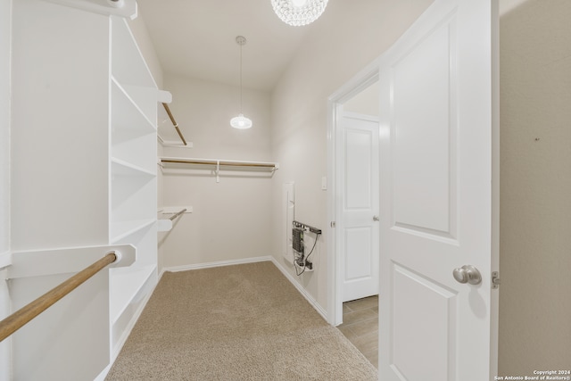 walk in closet with light carpet