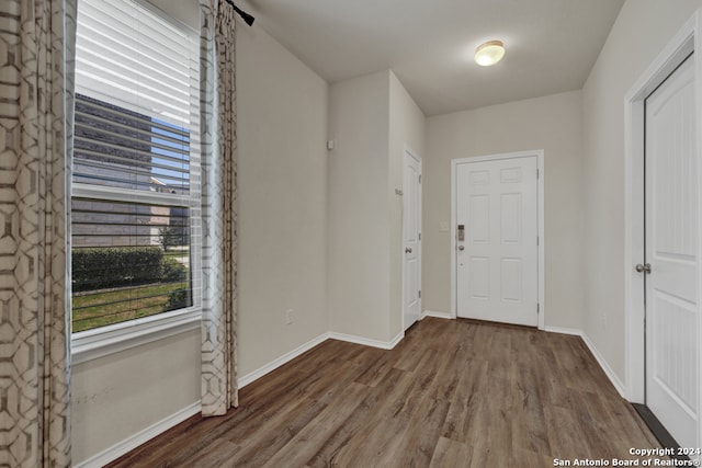 interior space featuring hardwood / wood-style floors