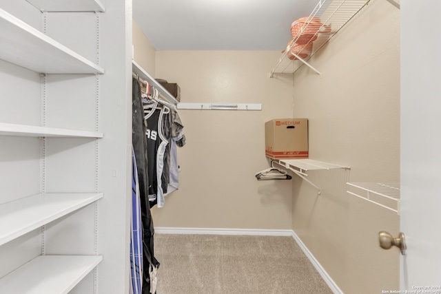 spacious closet featuring carpet floors