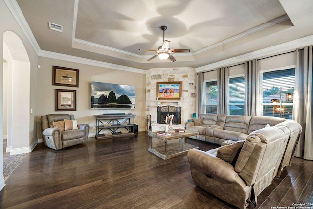 living room featuring a raised ceiling and dark wood-type flooring