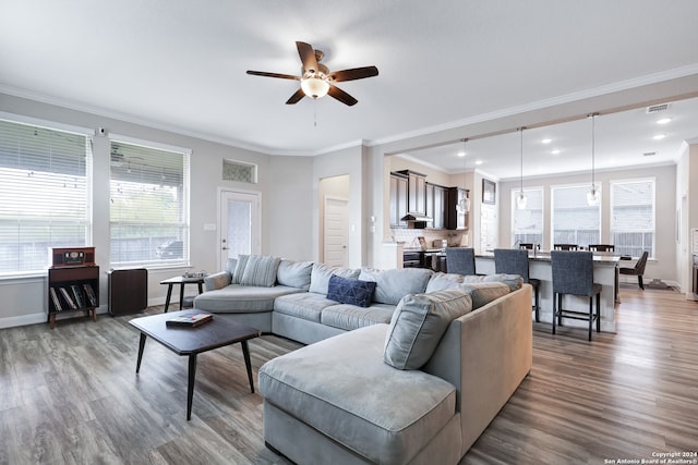 living room featuring ornamental molding, dark hardwood / wood-style floors, and plenty of natural light