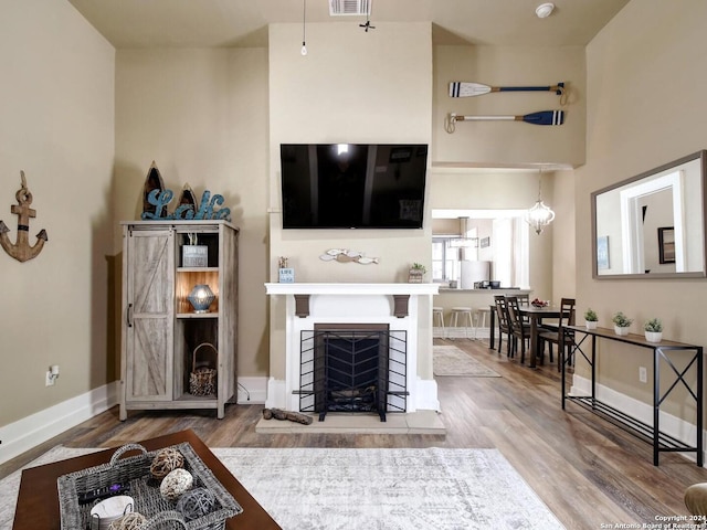 living room featuring wood-type flooring