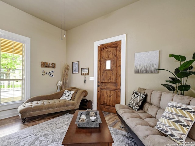 living room with a healthy amount of sunlight and hardwood / wood-style floors