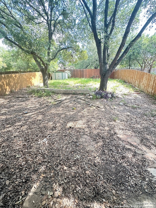 view of yard featuring a storage unit