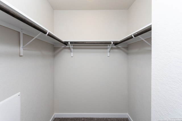 spacious closet featuring carpet flooring