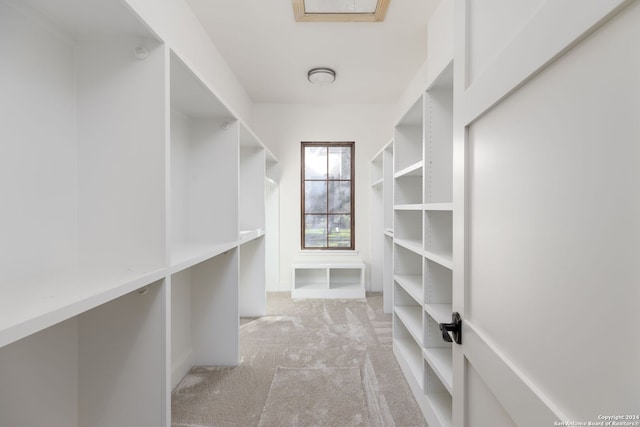 spacious closet with light colored carpet