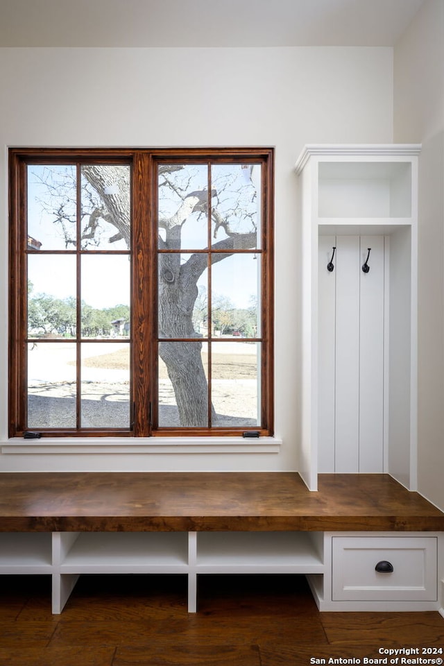 mudroom with a healthy amount of sunlight and dark wood finished floors