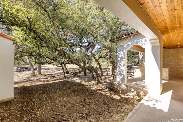 view of yard featuring a patio area