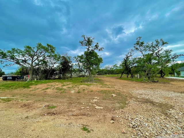 view of local wilderness
