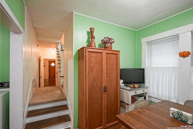 interior space featuring carpet floors, washer / clothes dryer, and ornamental molding