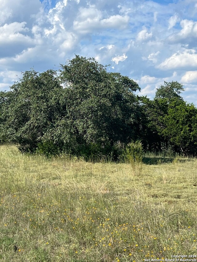 317 Bosque Rdg, Spring Branch TX, 78070 land for sale