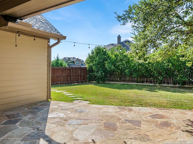 view of yard featuring a patio