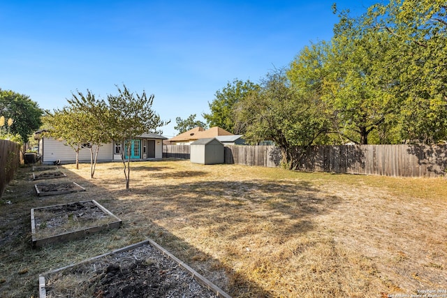 view of yard featuring a shed