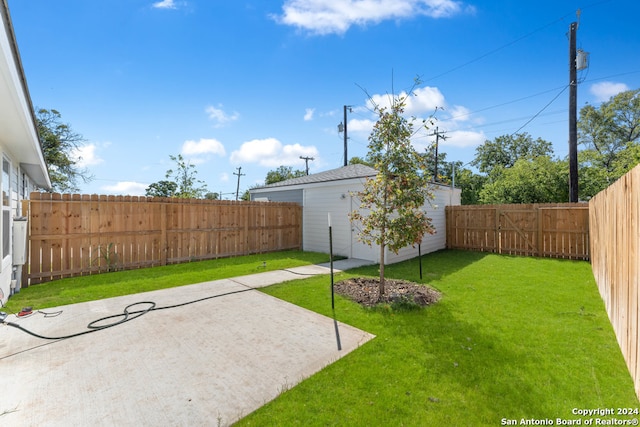 view of yard featuring a patio and a storage shed