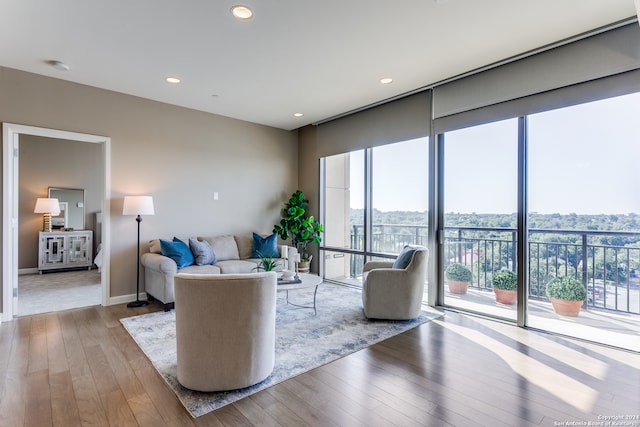 living room with light hardwood / wood-style floors and plenty of natural light