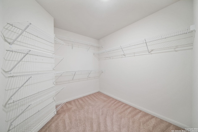 walk in closet featuring carpet flooring