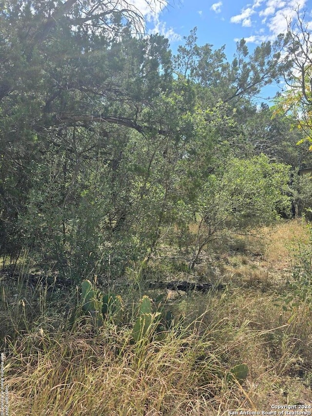 APN168285 11th St E, Pipe Creek TX, 78063 land for sale