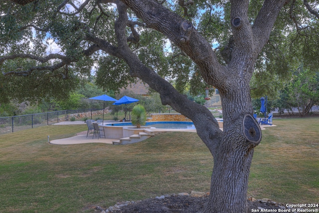 view of yard featuring a patio and a fenced in pool