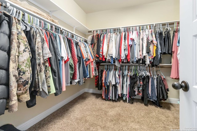 walk in closet featuring light colored carpet