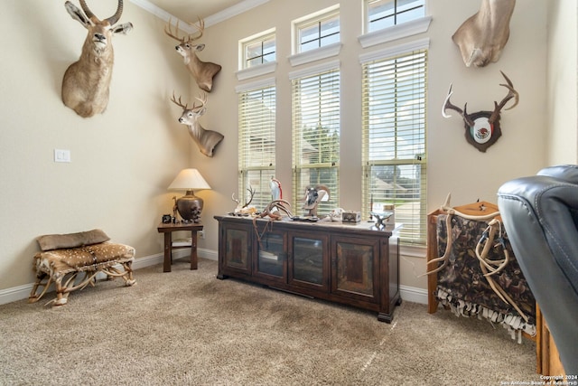 sitting room featuring light colored carpet and ornamental molding