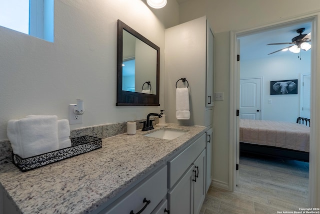 bathroom featuring wood-type flooring and vanity