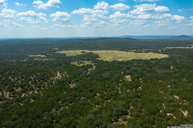 bird's eye view featuring a mountain view