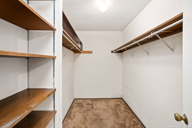 spacious closet featuring light colored carpet