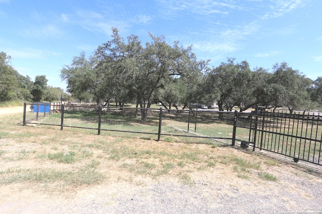 view of yard featuring a rural view