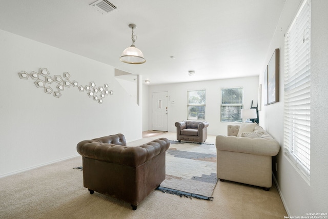 carpeted living room with a wealth of natural light