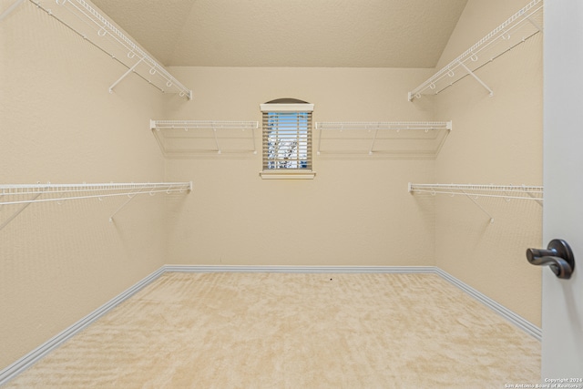 spacious closet featuring carpet and vaulted ceiling