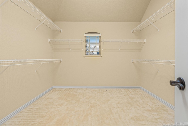 11806 Jasmine Way, San Antonio, TX 78253 - spacious closet with carpet flooring