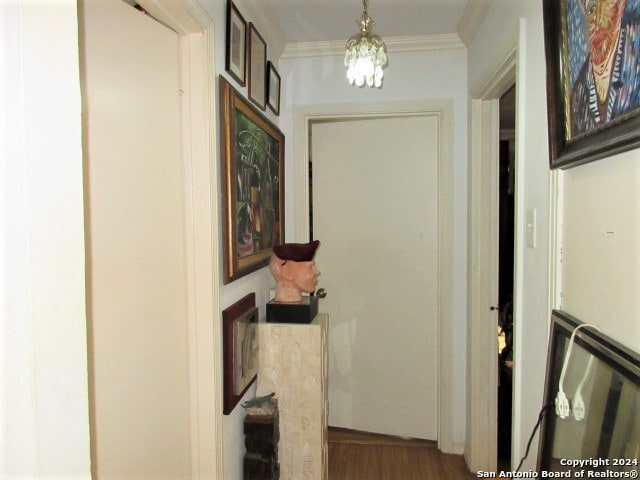 hallway featuring crown molding and wood-type flooring